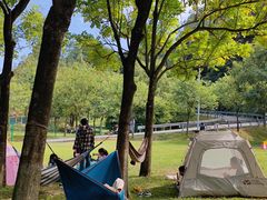 -火炉山森林公园