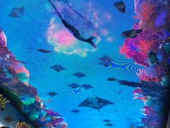 -珠海长隆海洋王国