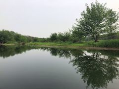 -杭州双溪漂流景区