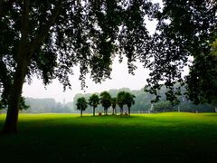 -河南省黄河迎宾馆