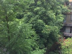 -重庆彩云湖湿地公园