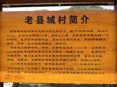 -黑河国家森林公园