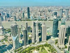 -The lounge 柏悦酒店大堂酒廊(上海环球金融中心店)