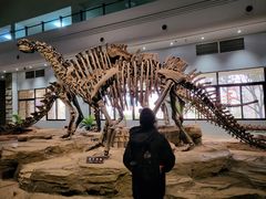 -自贡恐龙博物馆