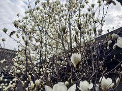 -苏皖边区政府旧址纪念馆