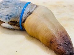 -海景壹号大酒店(惠钱路店)