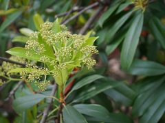 -苏州河梦清园环保主题公园