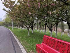 -艾溪湖湿地公园