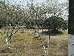 -白塘生态植物园