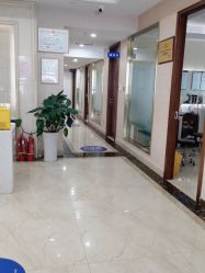 -碧莲盛·不剃发植发