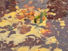-中和远东火锅兔(老店)