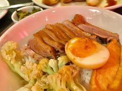 金奖卤鹅肉饭-陈鹏鹏潮汕菜(宝安机场T3航站楼店)