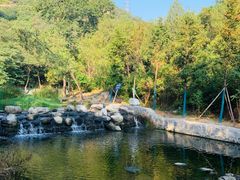 -白水寺森林公园