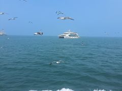 -海驴岛(荣成市)