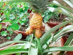 -南通洲际绿博园