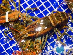 -高佳庄·舟山海鲜(海景旗舰店)