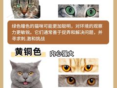 -翊宠yipet猫狗购宠庄园犬舍•猫舍