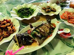 清蒸龙胆石斑鱼-四姑娘川味海鲜(八爪鱼店)