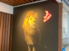 -老鼎旺安格斯牛肉火锅(衡艺广场店)