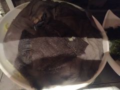 -川西坝子(老军营店)