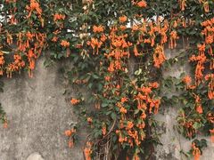 -北海银滩一号国际会议中心酒店