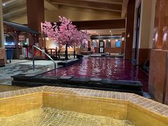 -大江户·温泉洗浴(浑南店)
