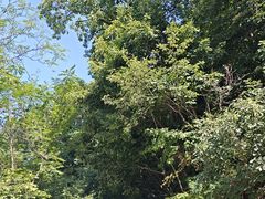 -终南山南五台景区