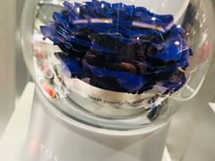 -ROSEONLY诺誓(国际广场购物中心店)