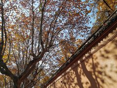 -苏州文庙(姑苏区)