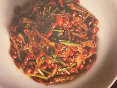 -北京老铺烤鸭(高新店)