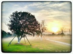 -无锡梁鸿湿地丽笙度假酒店·流觞西餐厅