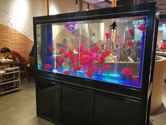 -釜山火炉韩式炭火烤肉(欧洲城店)
