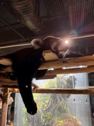 -Zoolung Zoolung动物主题公园(海信广场店)