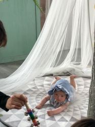 点击看大图 -大树儿童摄影