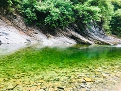 -黑河国家森林公园