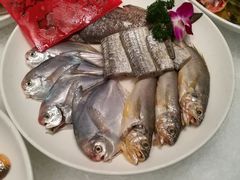-江海渔港(姚港路店)