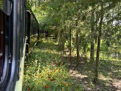 -合肥滨湖国家森林公园