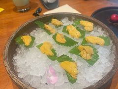 -月龍吟(朝龙汇店)
