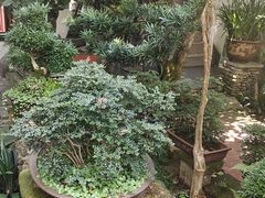 -西溪南古村落