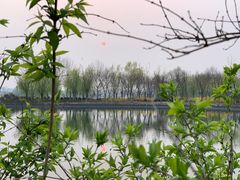 -大兴滨河森林公园