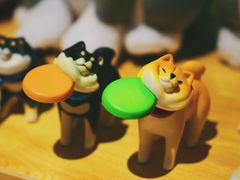 -柴务处·柴犬主题狗咖