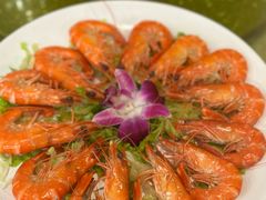 白灼沙虾-横琴公社餐厅