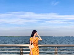 -南汇嘴观海公园