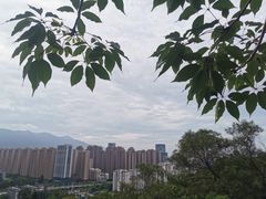 -金鸡山公园