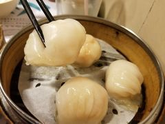 晶莹鲜虾饺-点点心点心专门店(旺角店)