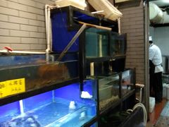 水产区-盈田盈粥庄(博山东路店)