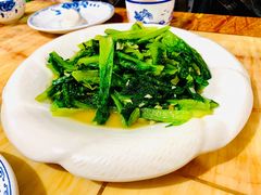 -煲来饱去冷水鱼