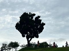 -小麦岛公园