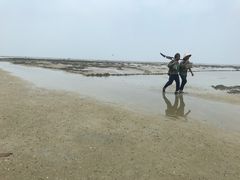 -红树林天天赶海