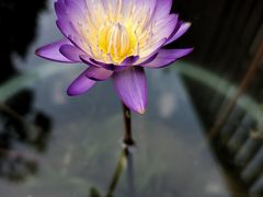 -龙华寺